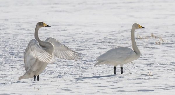 怎么网上创业成功？创业网大全与网赚项目下载的实战指南