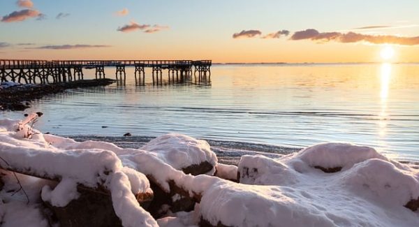 网赚交流新篇章：网上赚钱论坛与创业网论坛的共赢之路