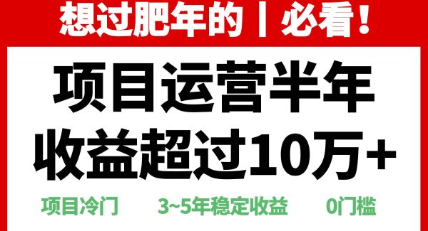 年前过肥年的必看的超冷门项目，半年收益超过10万+，