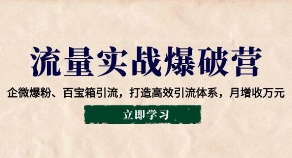 流量实战爆破营：企微爆粉、百宝箱引流，打造高效引流体系，月增收万元