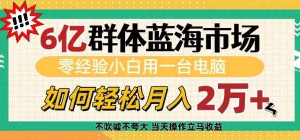 6亿群体蓝海市场，零经验小白用一台电脑，如何轻松月入过w