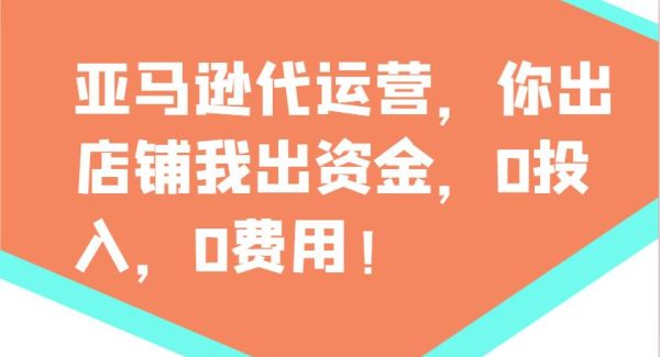 亚马逊代运营，你出店铺我出资金，0投入，0费用，无责任每天300分红，赢亏我承担