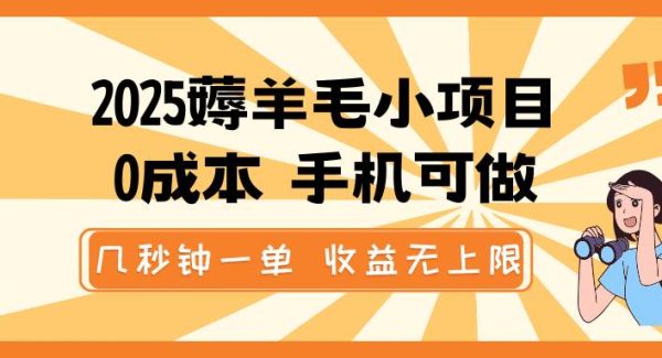 2025薅羊毛小项目，0成本 手机可做，几秒钟一单，收益无上限
