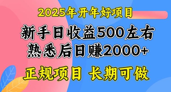 2025开年好项目，单号日收益2000左右