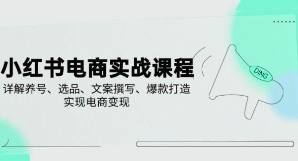 小红书电商实战课程，详解养号、选品、文案撰写、爆款打造，实现电商变现