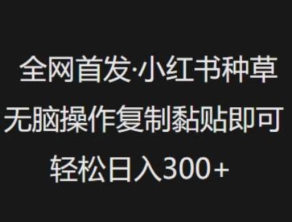 全网首发，小红书种草无脑操作，复制黏贴即可，轻松日入3张