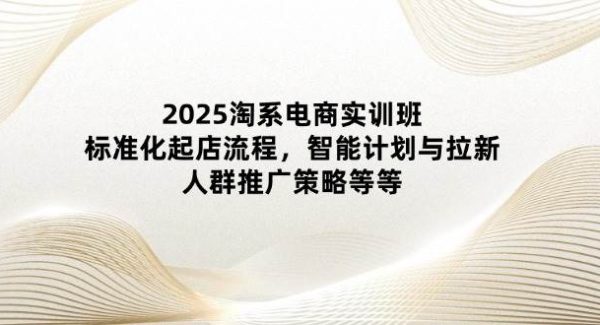 2025淘系电商实训班：标准化起店流程，智能计划与拉新，人群推广策略等等