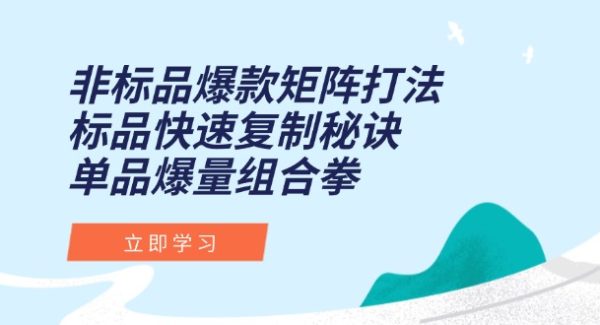 非标品爆款矩阵打法，标品快速复制秘诀，单品爆量组合拳