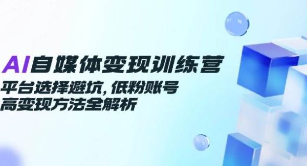 AI自媒体变现训练营，平台选择避坑，低粉账号高变现方法全解析