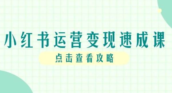 小红书运营变现速成课，账号搭建到暴力起号，个人IP全流程指南